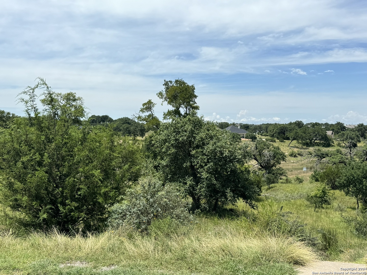 134 W Eli Chandler Blanco TX 78606