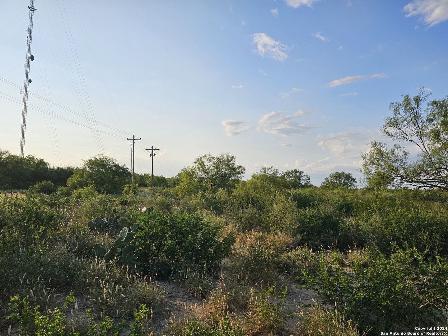 0 Highway 83 Crystal City TX 78839