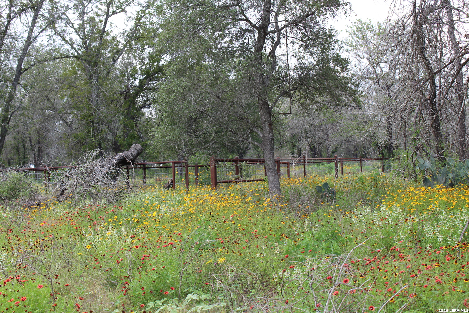 24222 Mathis Elmendorf TX 78112