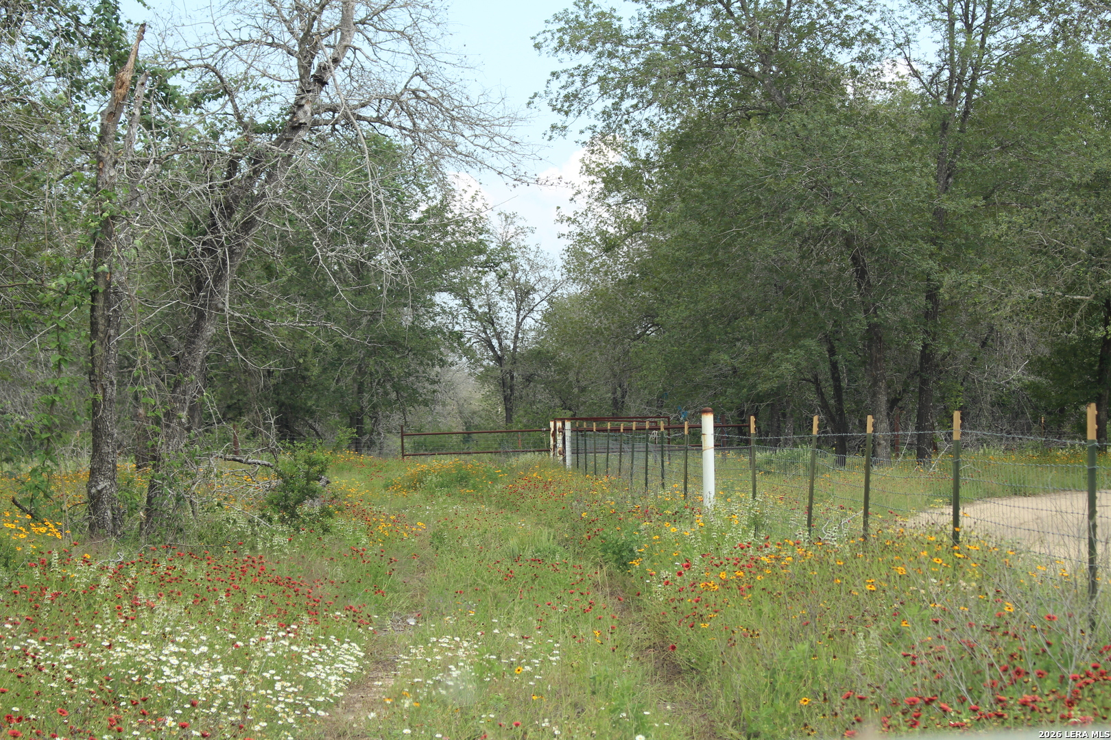 24222 Mathis Elmendorf TX 78112