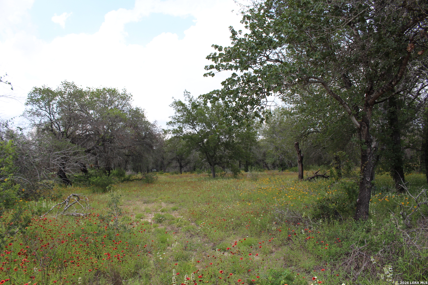 24222 Mathis Elmendorf TX 78112
