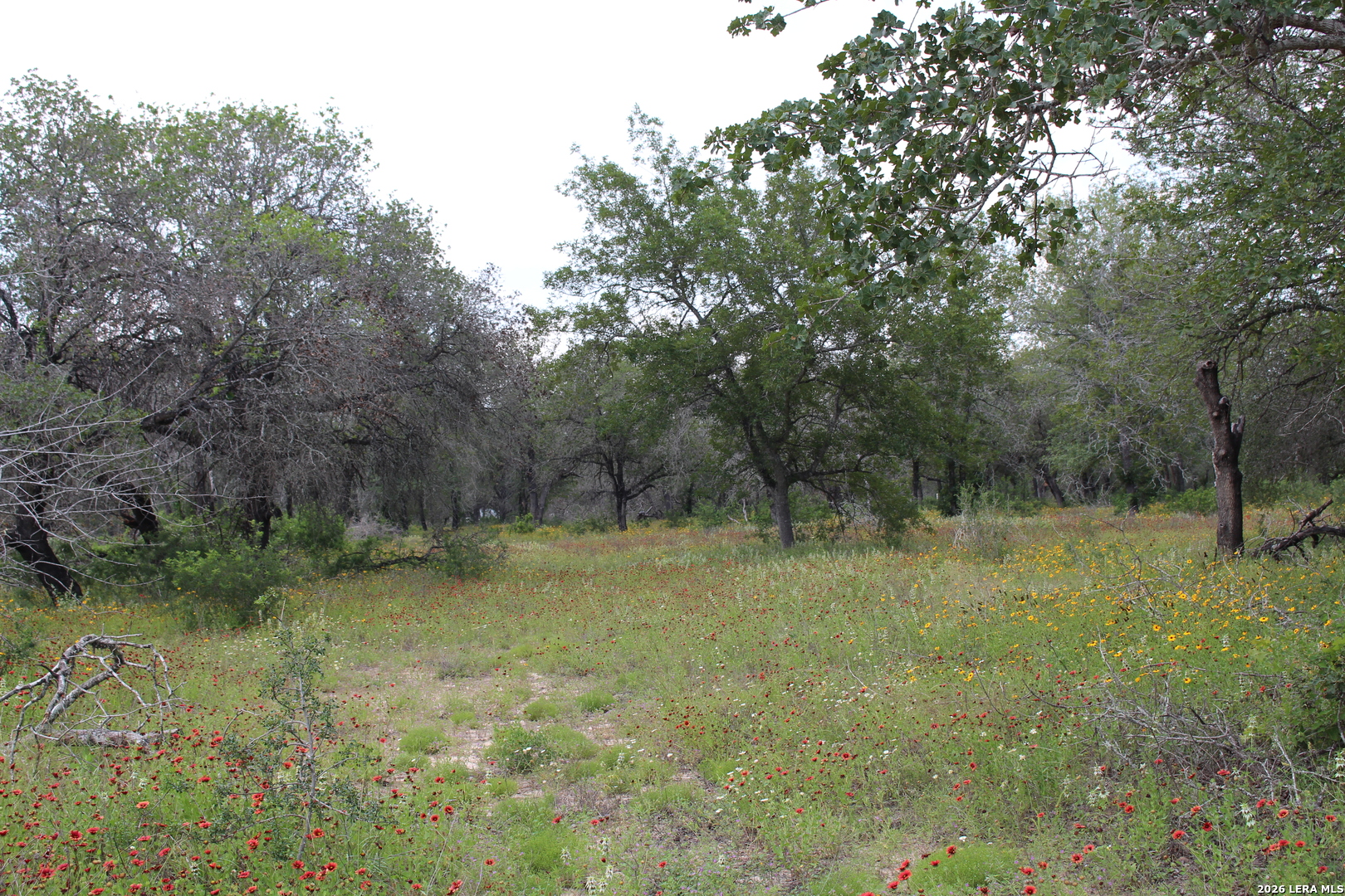 24222 Mathis Elmendorf TX 78112