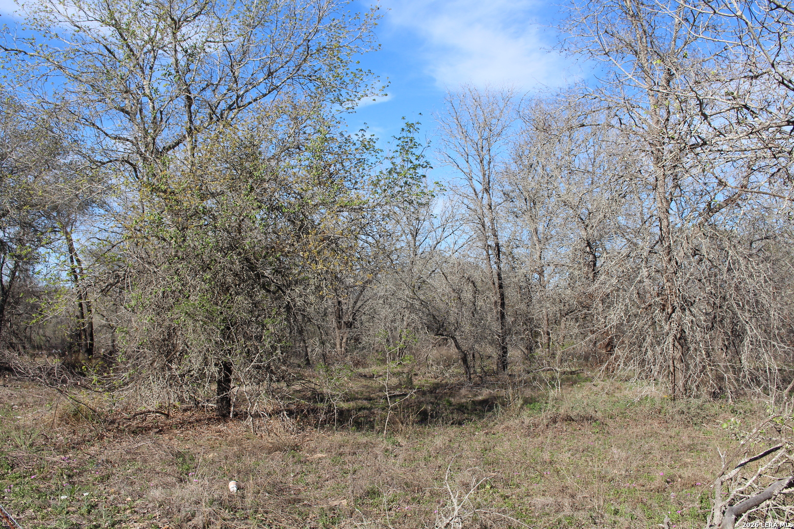 24222 Mathis Elmendorf TX 78112