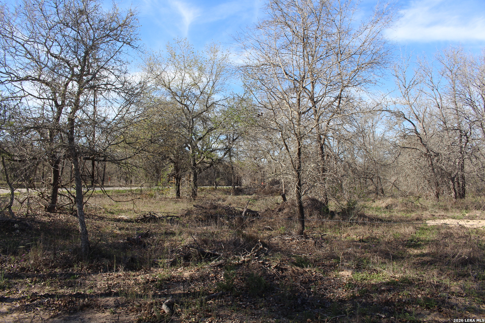 24222 Mathis Elmendorf TX 78112
