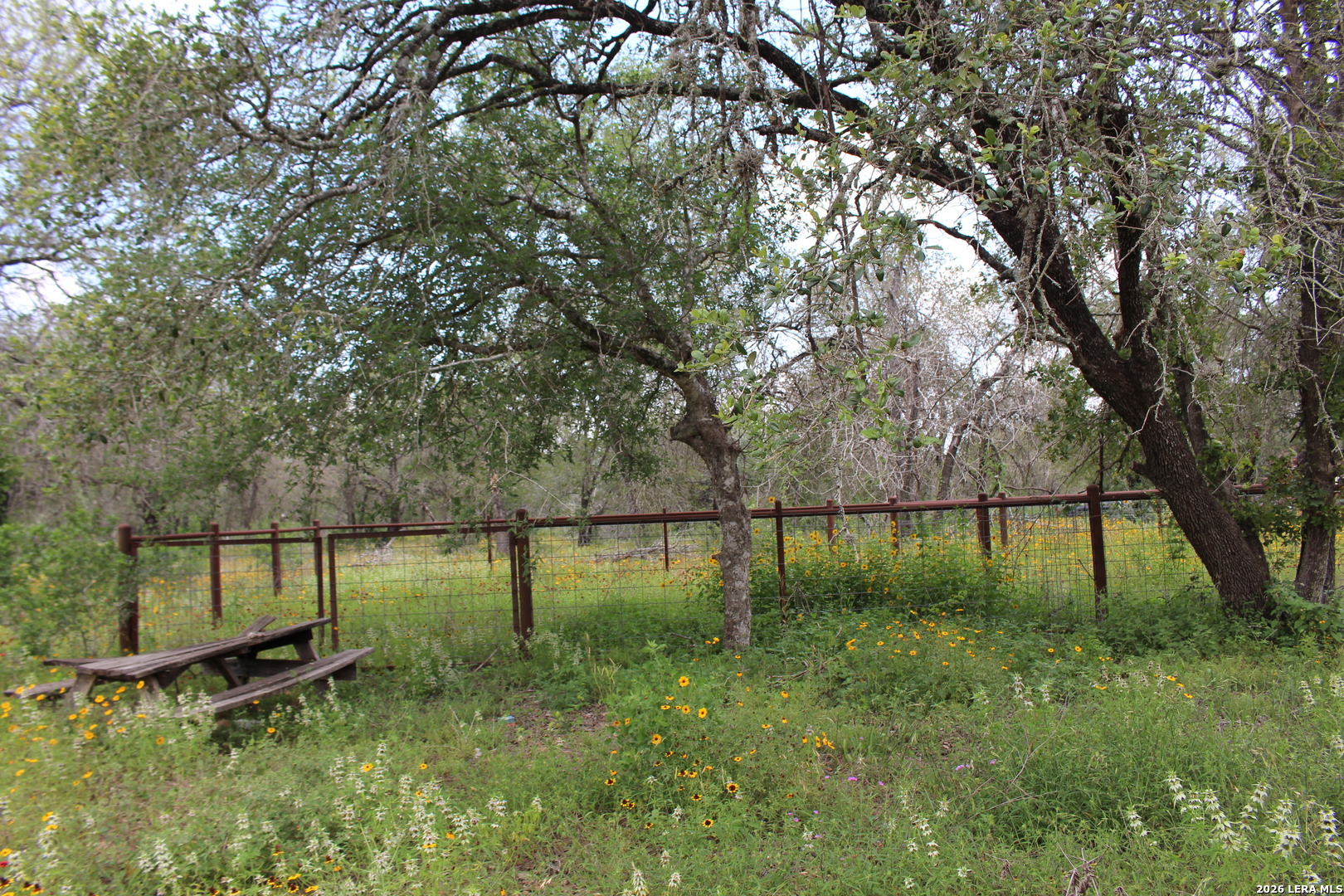 24222 Mathis Elmendorf TX 78112