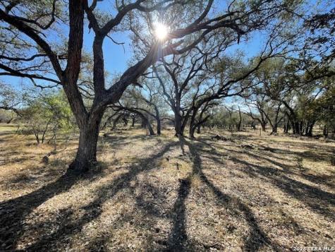 1384 County Road 326 Adkins TX 78101