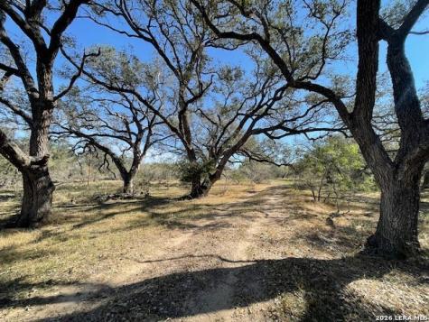 1384 County Road 326 Adkins TX 78101