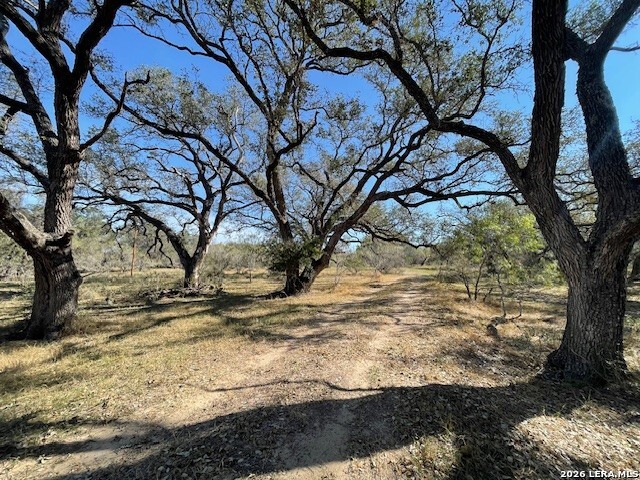 1384 County Road 326 Adkins TX 78101