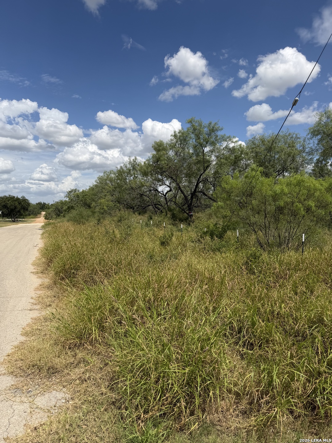 307 Bluebonnet Devine TX 78016