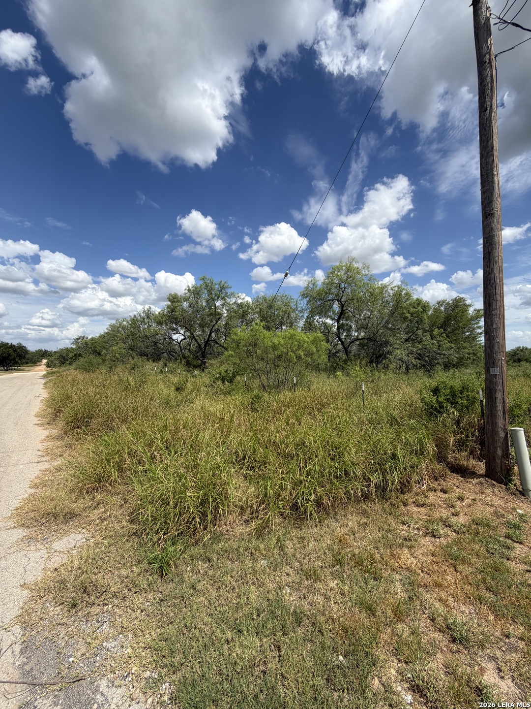 307 Bluebonnet Devine TX 78016
