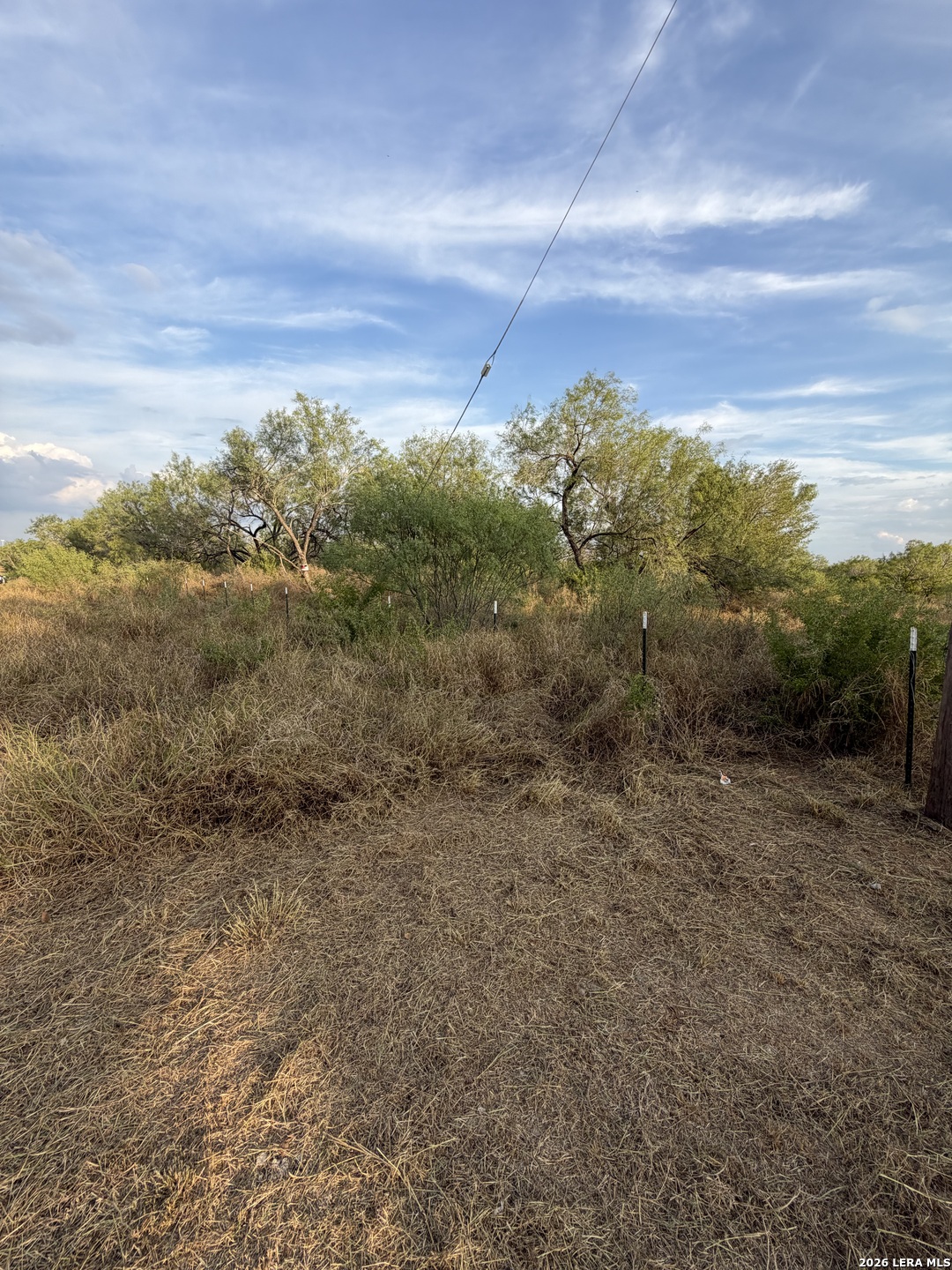 307 Bluebonnet Devine TX 78016