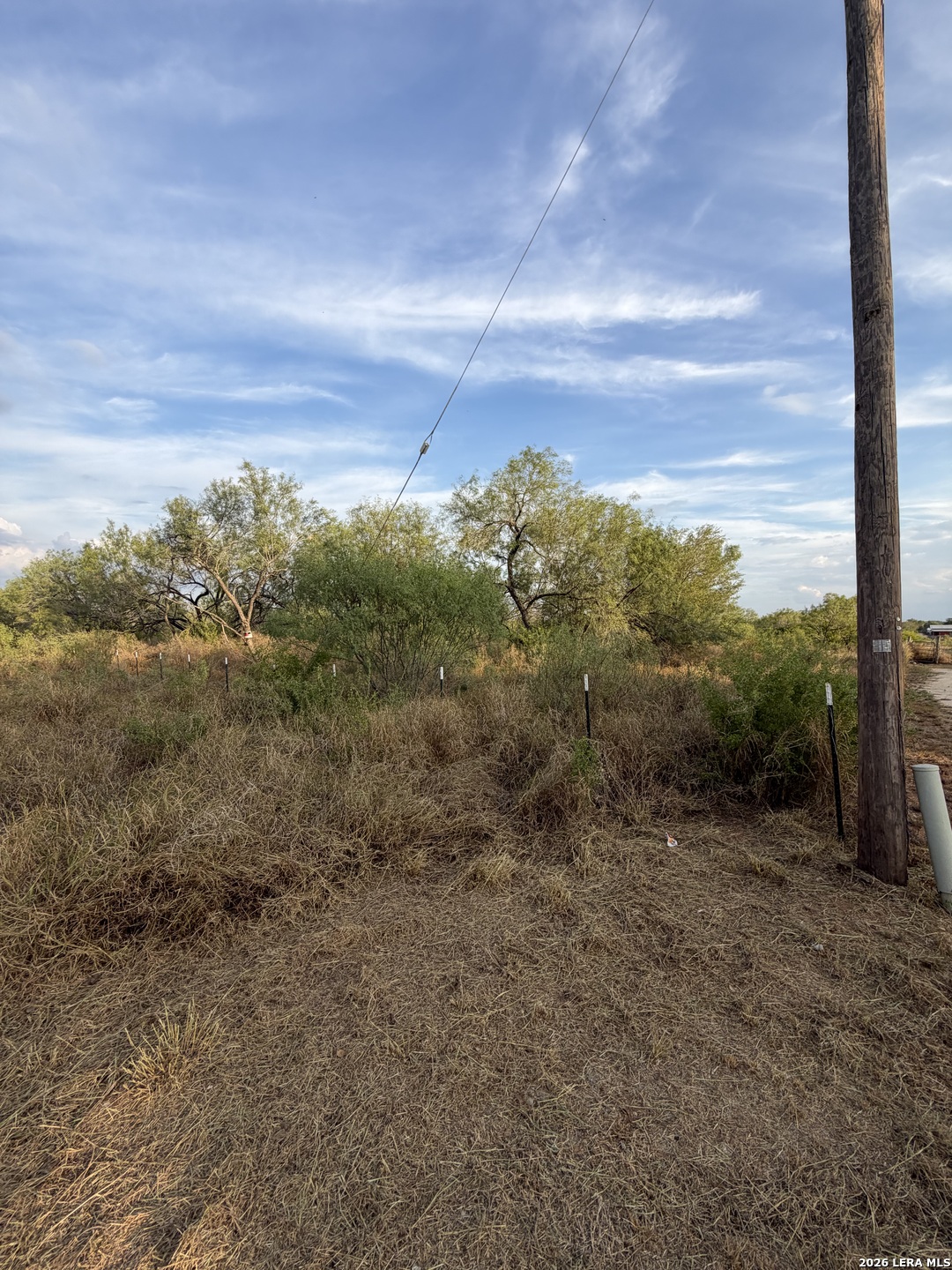 307 Bluebonnet Devine TX 78016