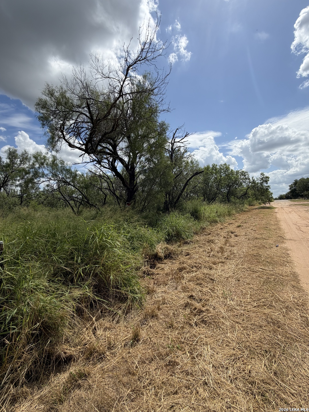 307 Bluebonnet Devine TX 78016