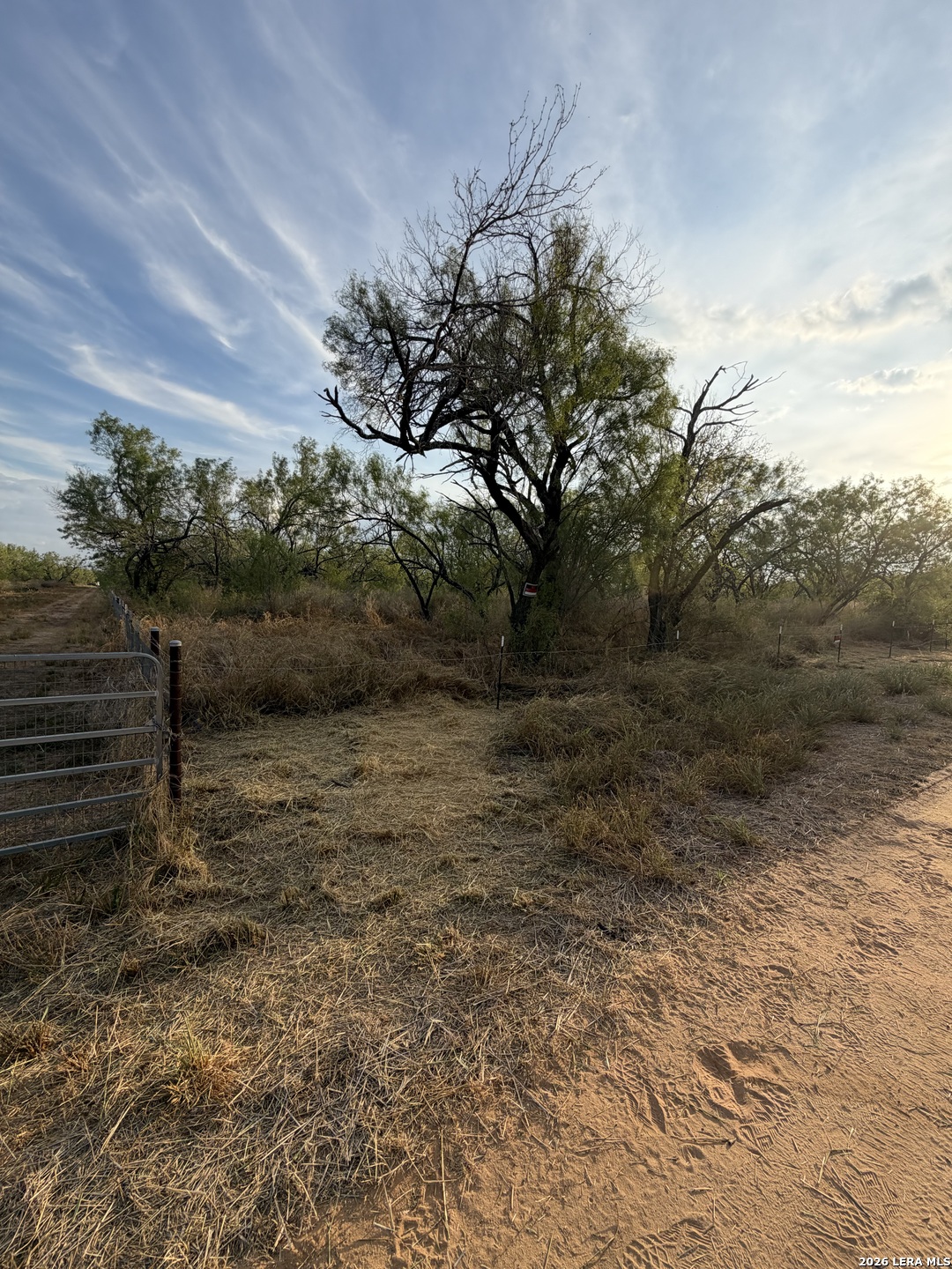 307 Bluebonnet Devine TX 78016