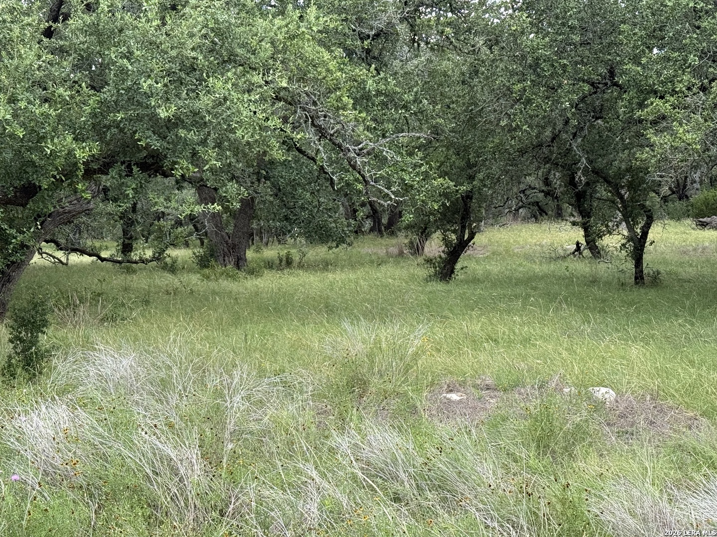 34781 High Gate Bulverde TX 78163