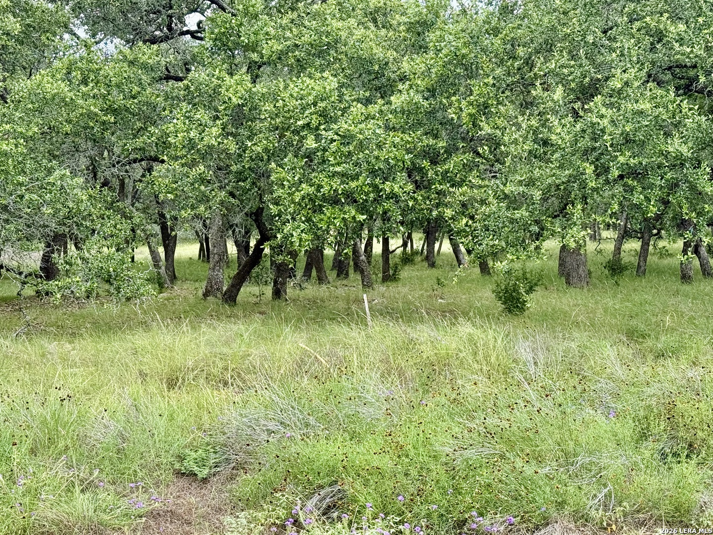 34781 High Gate Bulverde TX 78163