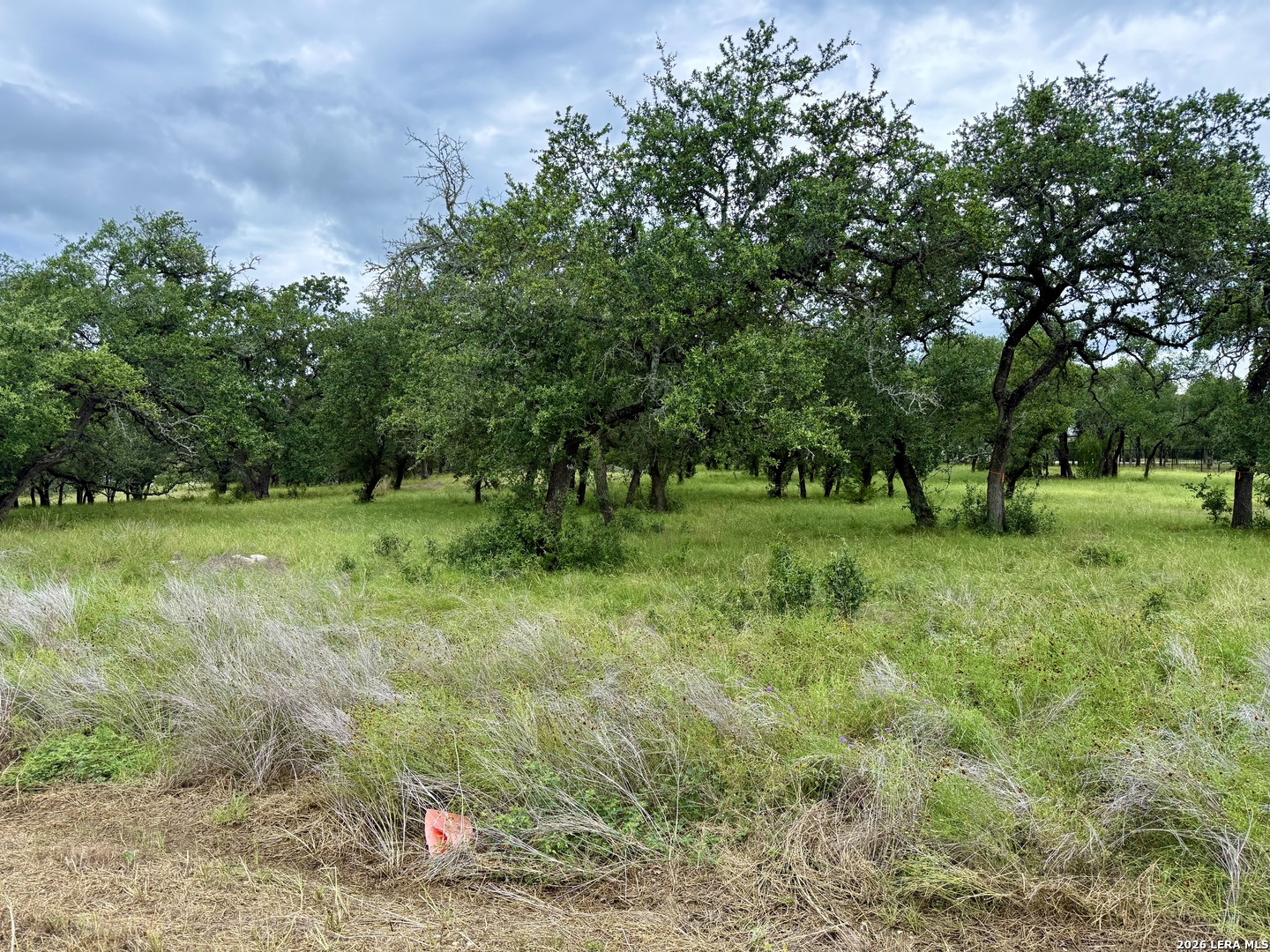 34781 High Gate Bulverde TX 78163