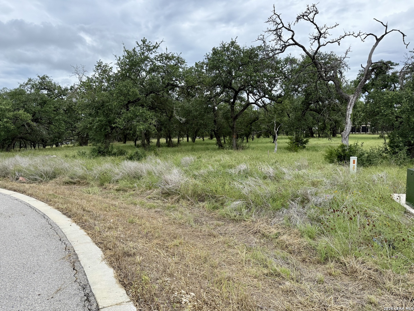 34781 High Gate Bulverde TX 78163