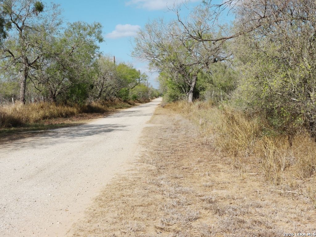 Lot 2 N 3rd Christine TX 78026
