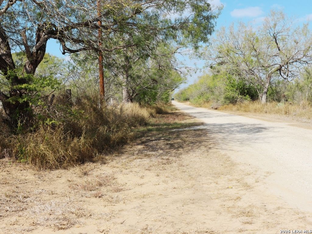 Lot 2 N 3rd Christine TX 78026