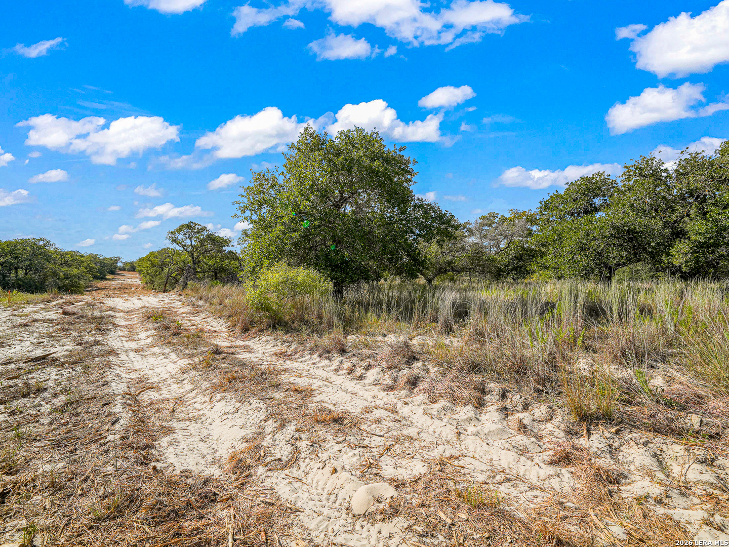 12180 Fm 1117 Seguin TX 78155