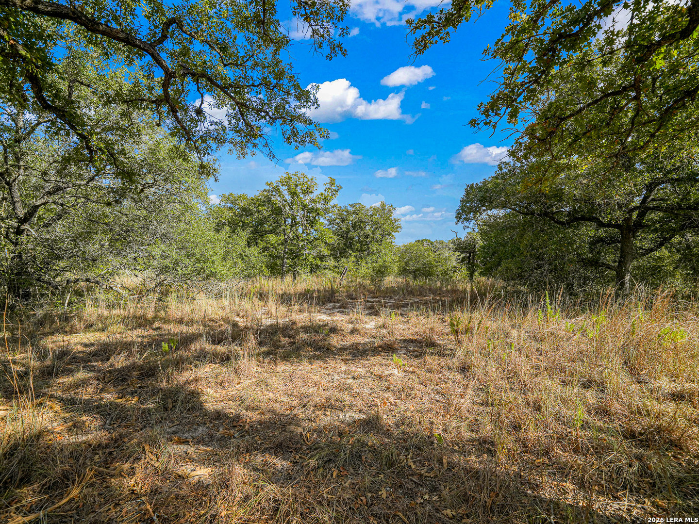 12180 Fm 1117 Seguin TX 78155
