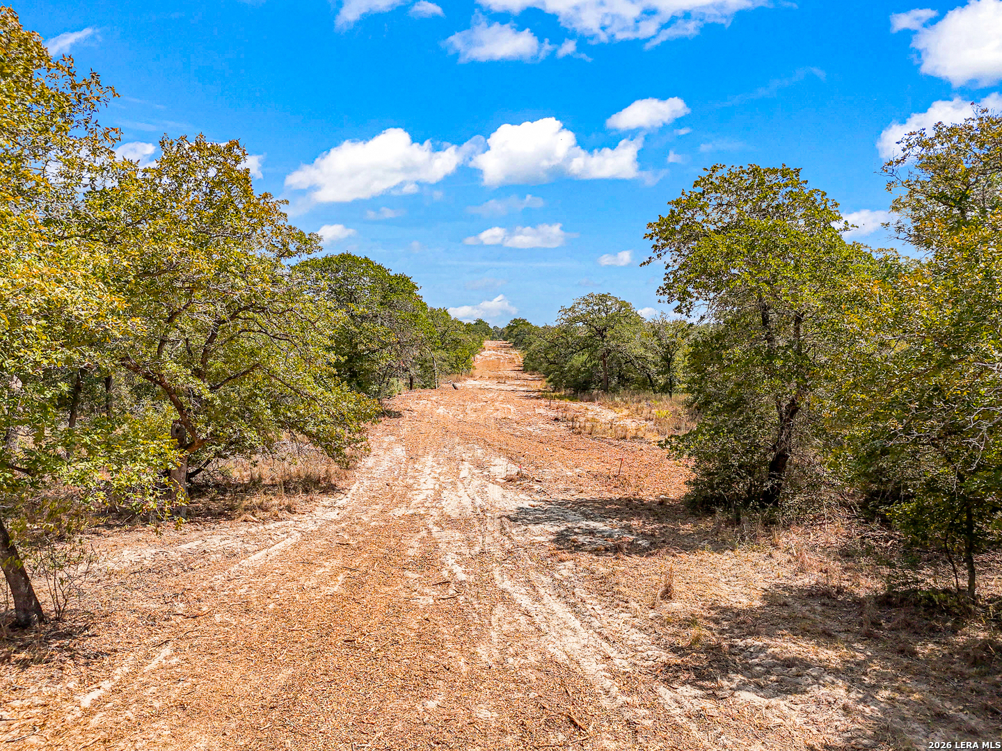 12180 Fm 1117 Seguin TX 78155