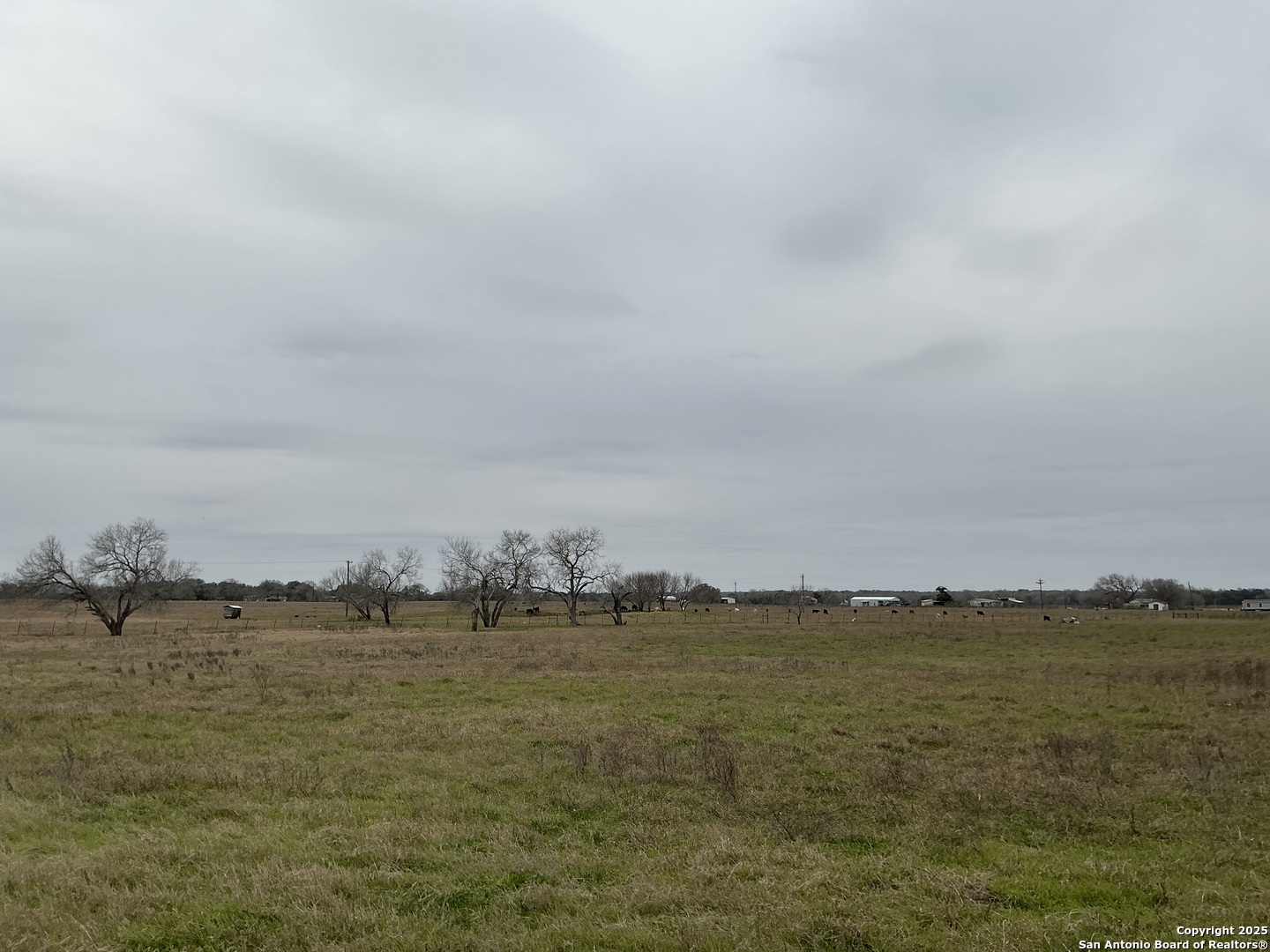 0 W Highway 87 Smiley TX 78159