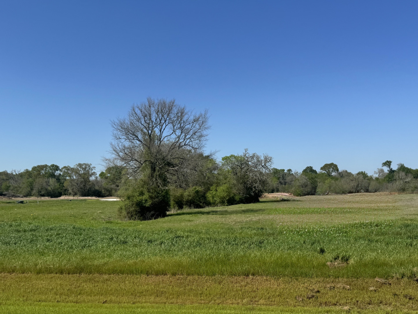 9956 Panther Ridge Drive Iola TX 77861