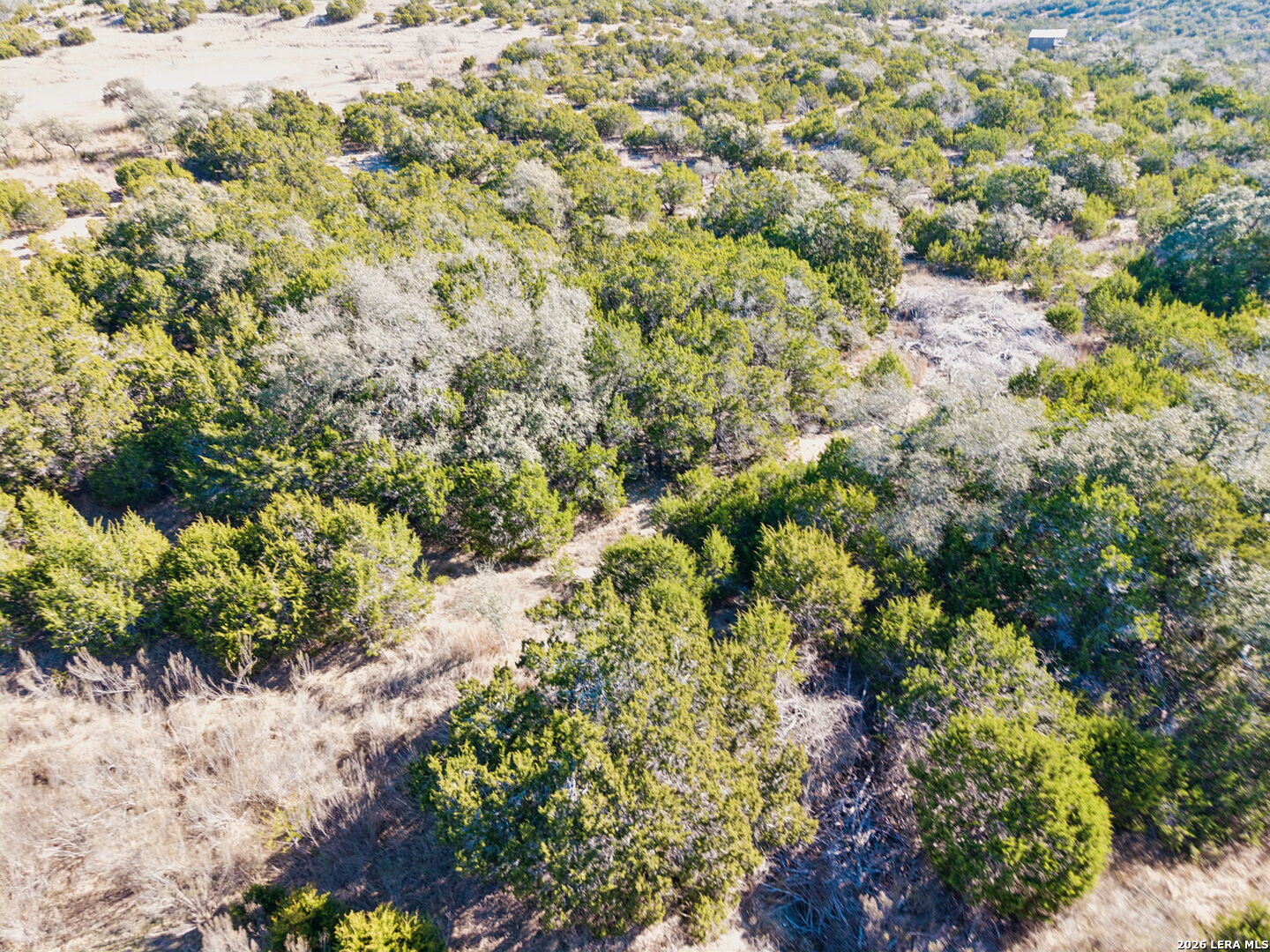 Lot 172 E Starview Cove Blanco TX 78606