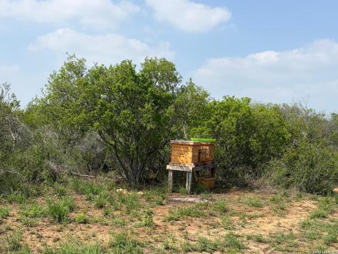 291 County Road 1670 Moore TX 78057