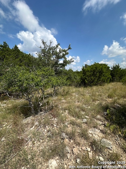 Tbd Lot 2 Soaring Eagle Fischer TX 78623