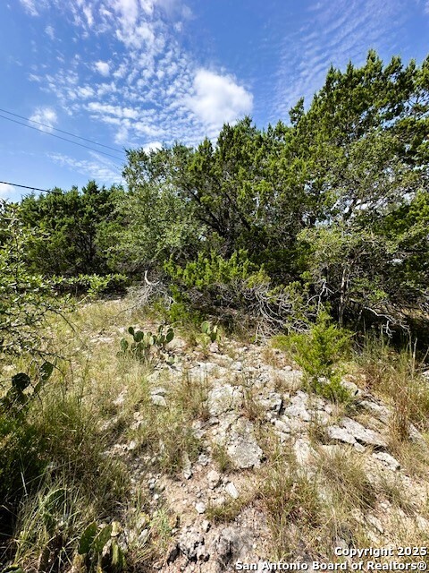 Tbd Lot 2 Soaring Eagle Fischer TX 78623