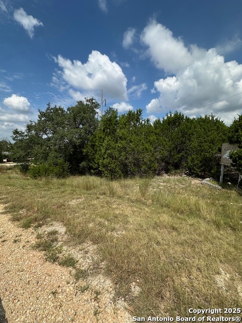 Tbd Lot 2 Soaring Eagle Fischer TX 78623