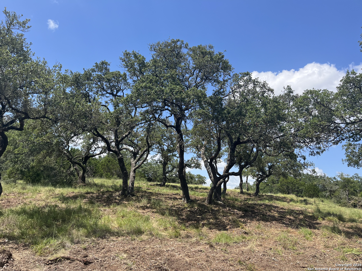 189 Cordillera Ridge Boerne TX 78006