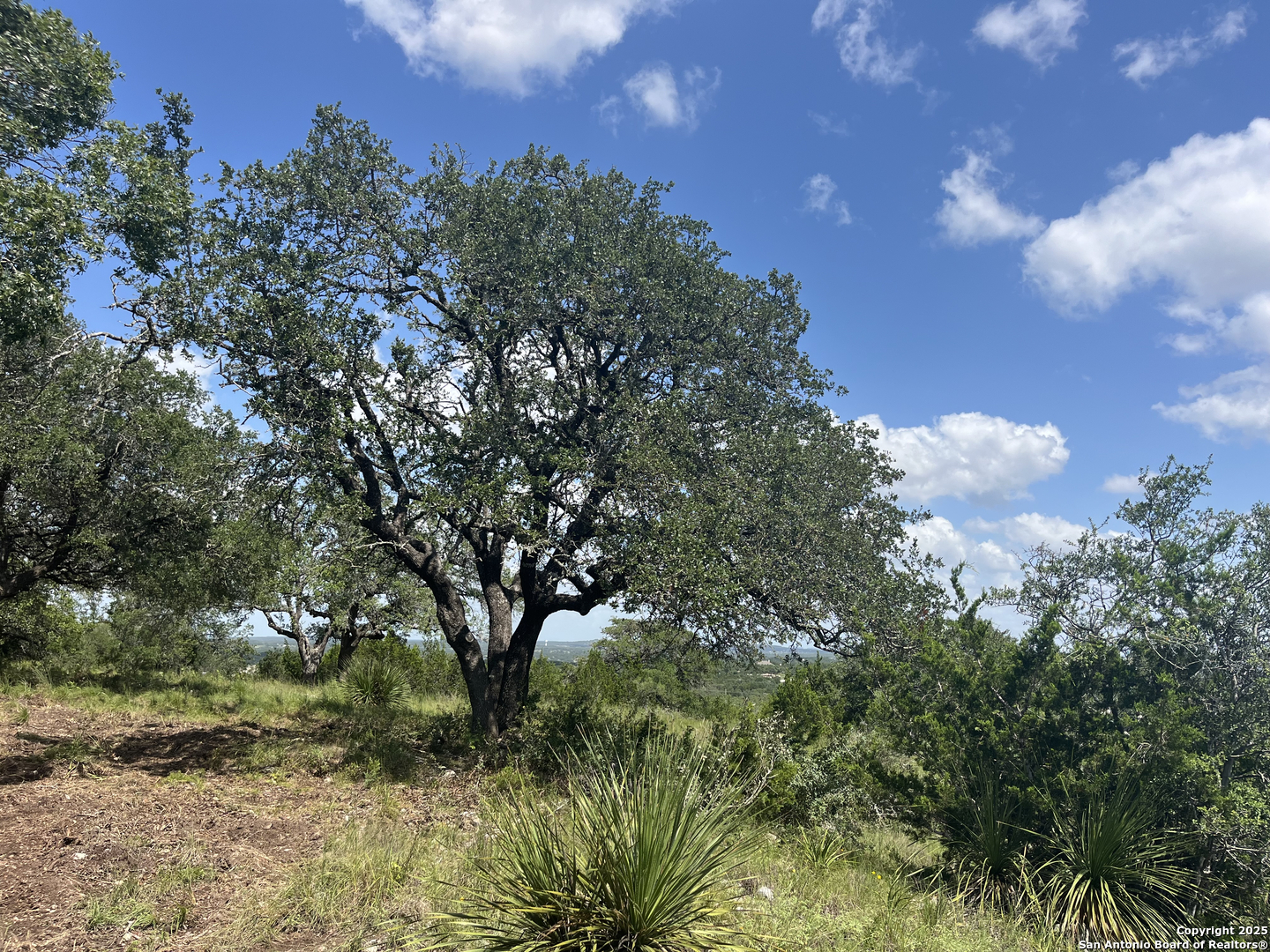189 Cordillera Ridge Boerne TX 78006