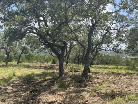 189 Cordillera Ridge Boerne TX 78006