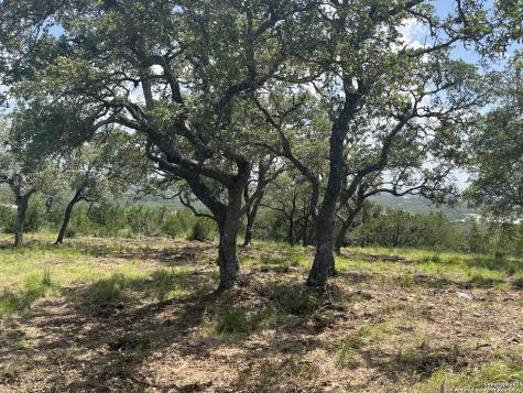 189 Cordillera Ridge Boerne TX 78006