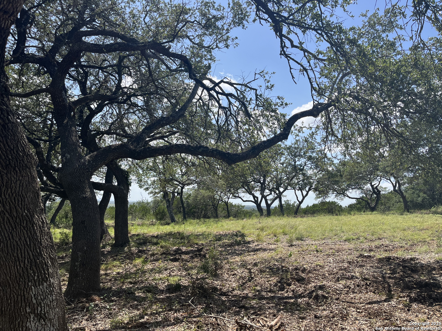 189 Cordillera Ridge Boerne TX 78006