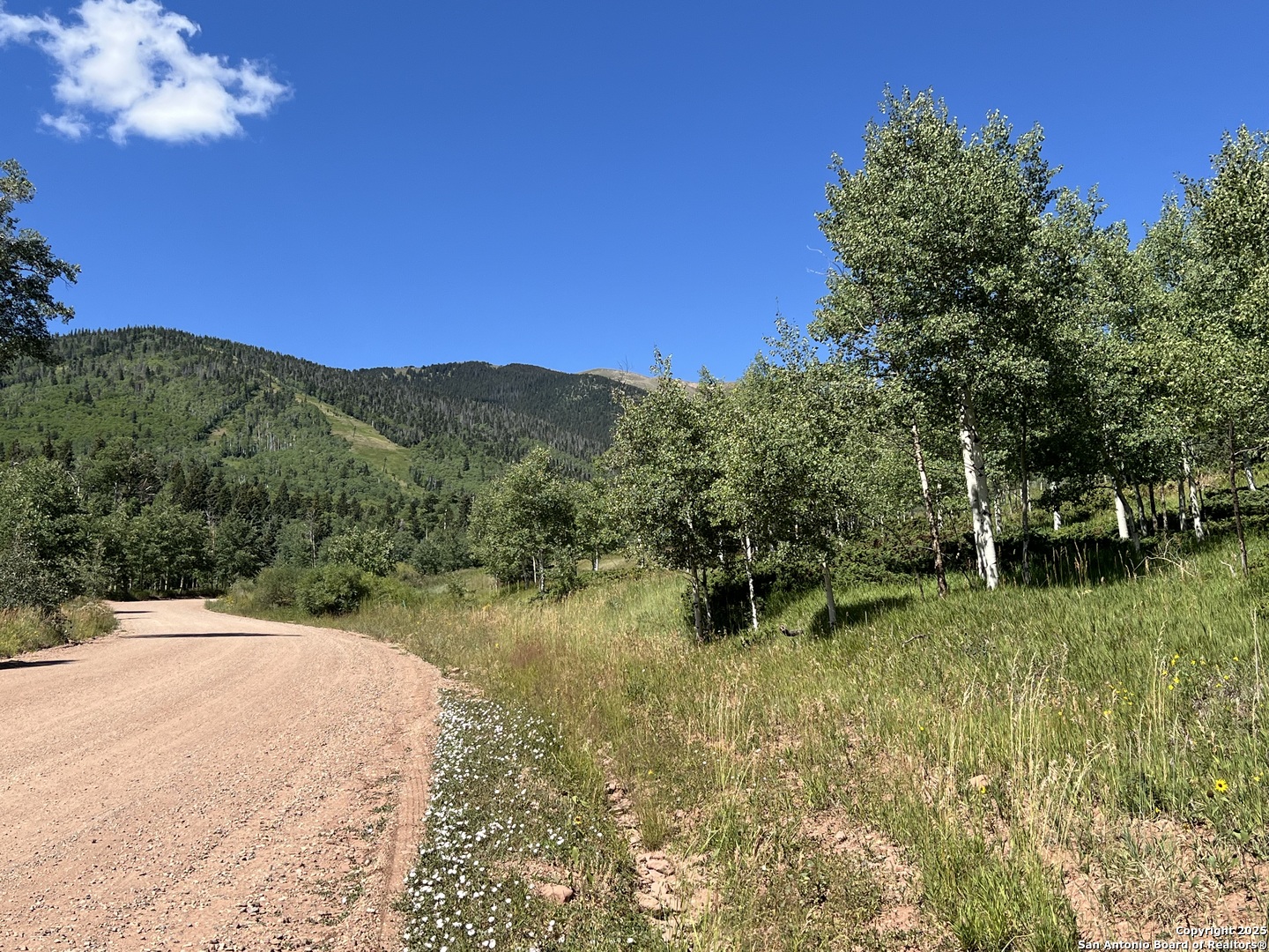 Lot 1a Panadero Avenue Not Applicab CO 81055