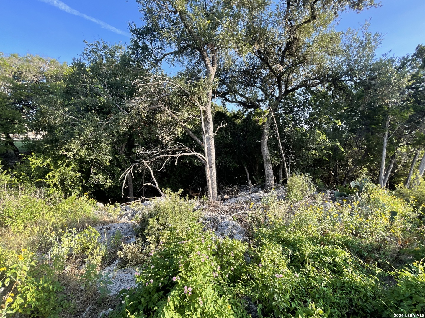 2111 Lakeview Canyon Lake TX 78133