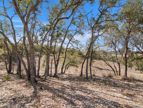 2042 Paradise Parkway Canyon Lake TX 78133