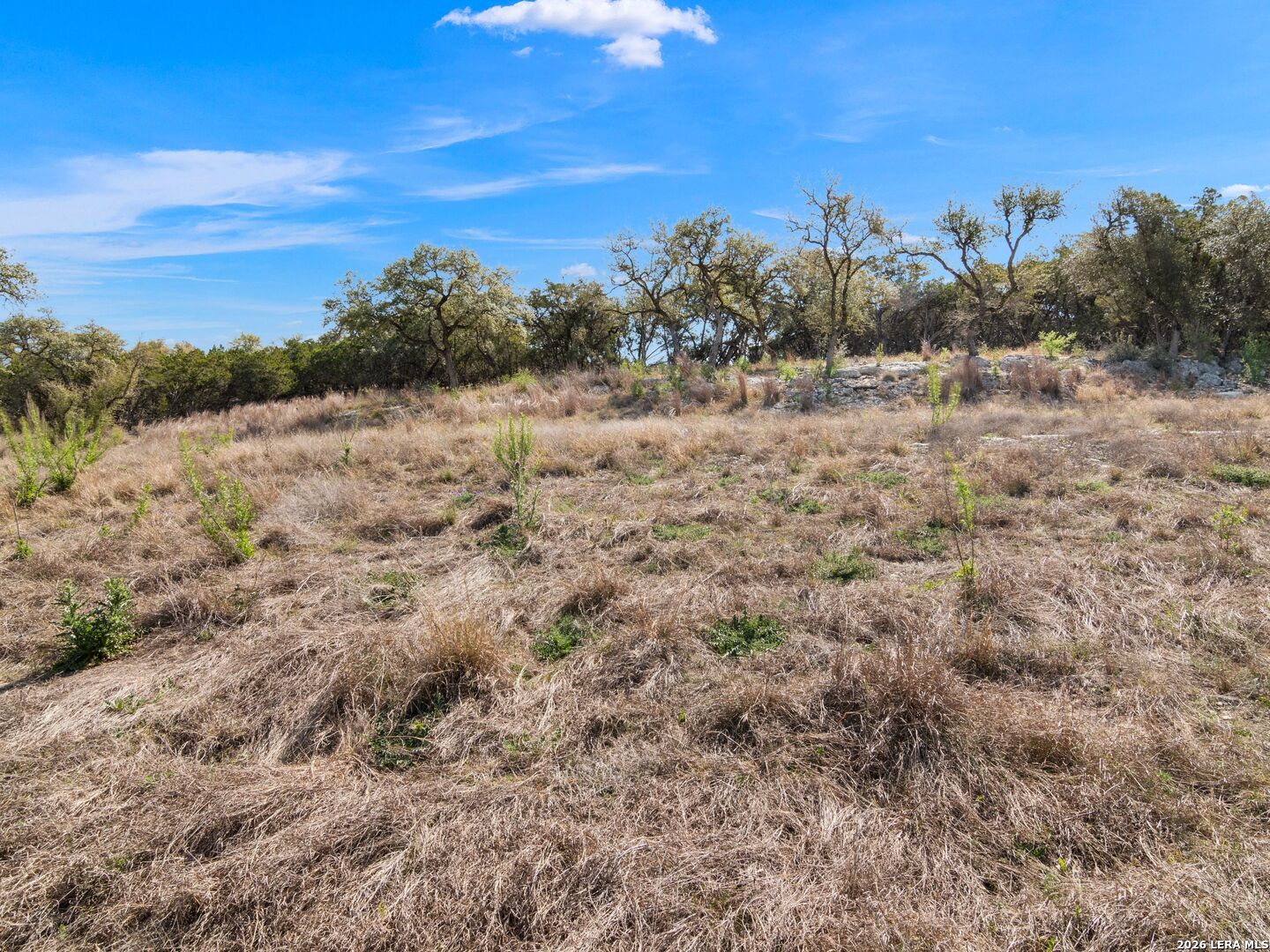 2042 Paradise Parkway Canyon Lake TX 78133