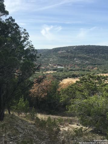 424 Sierra Vista Tarpley TX 78883