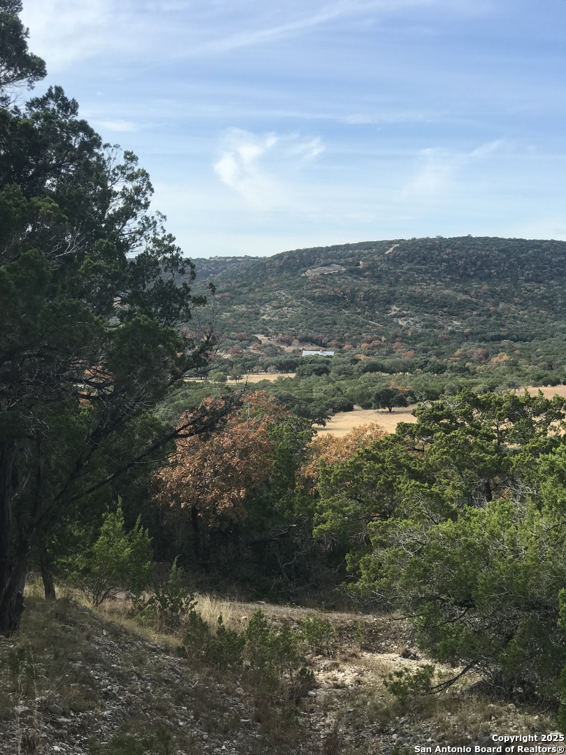 424 Sierra Vista Tarpley TX 78883