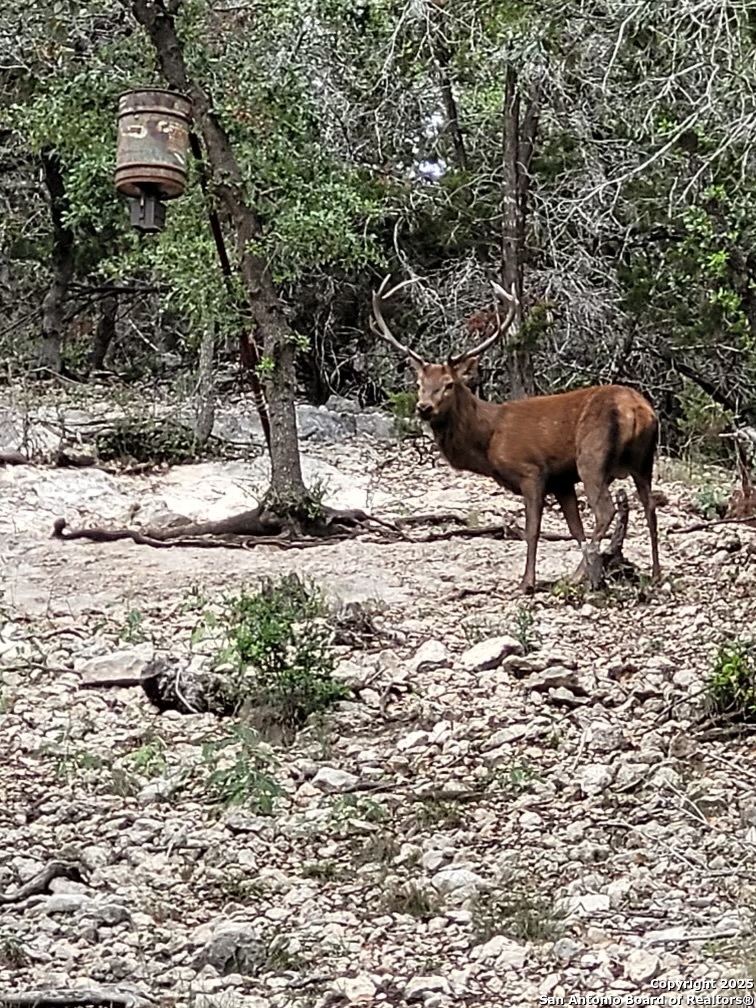 424 Sierra Vista Tarpley TX 78883
