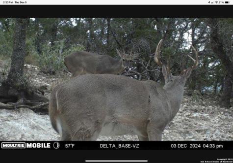424 Sierra Vista Tarpley TX 78883