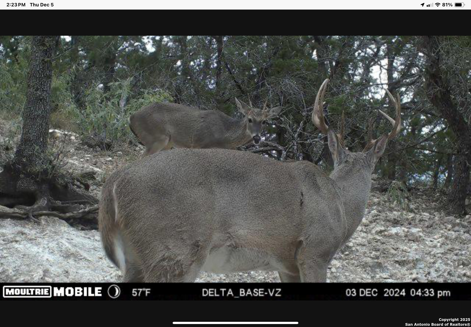 424 Sierra Vista Tarpley TX 78883