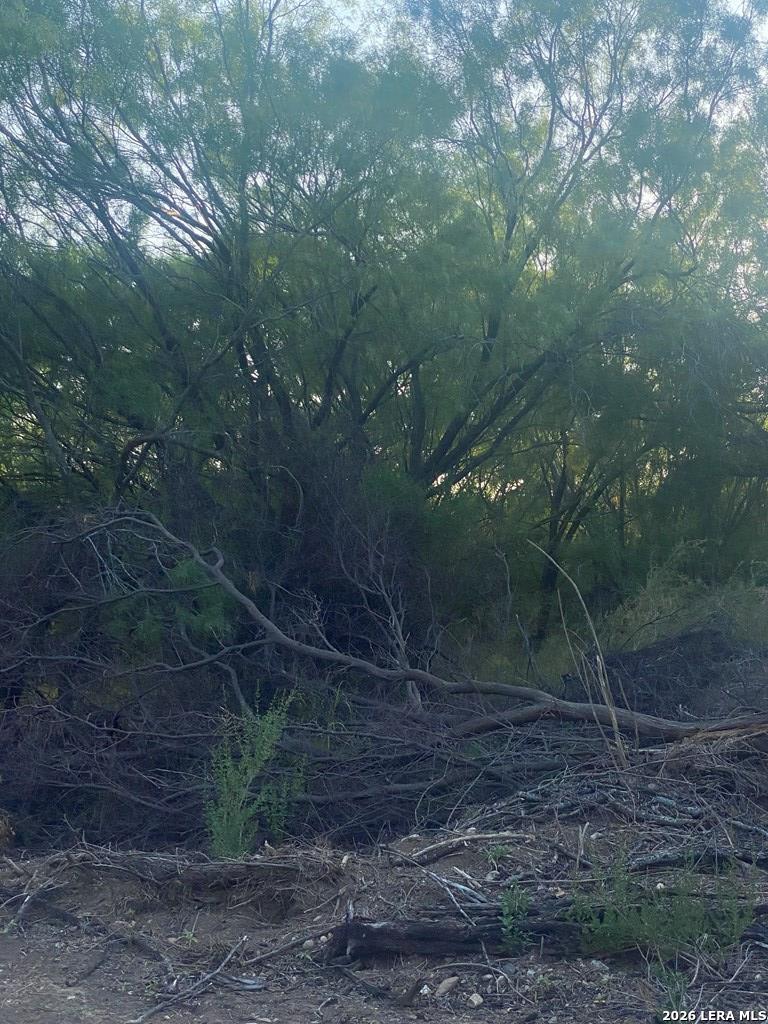 496 D Chavarria Eagle Pass TX 78852