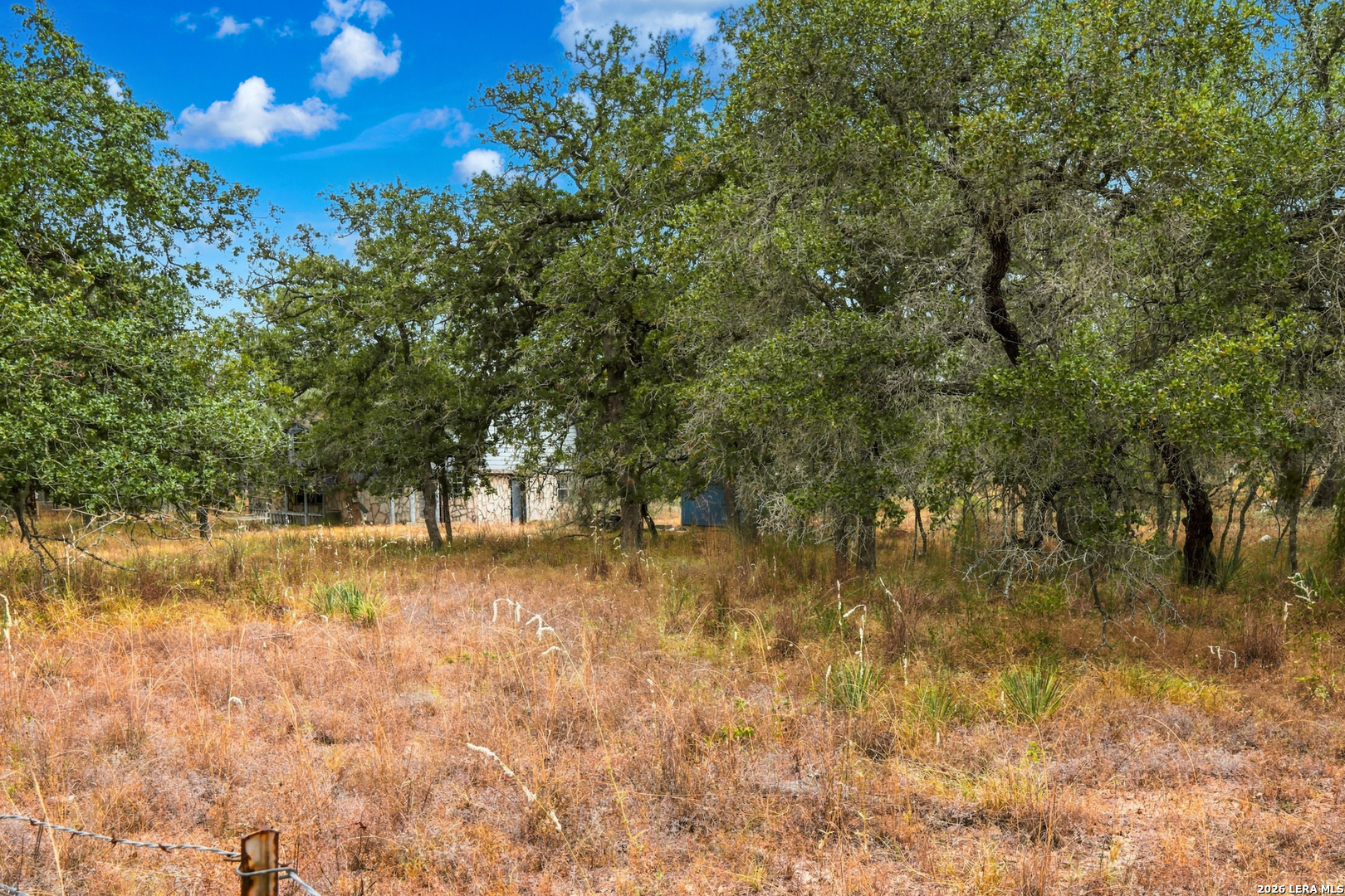 319 Fleetwood Lane Adkins TX 78101